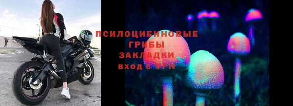 шишки Богородицк