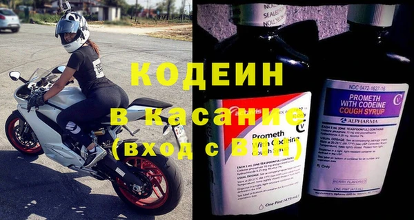 прущие грибы Богородск