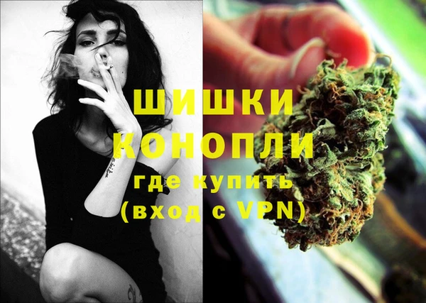 шишки Богородицк