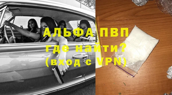 прущие грибы Богородск