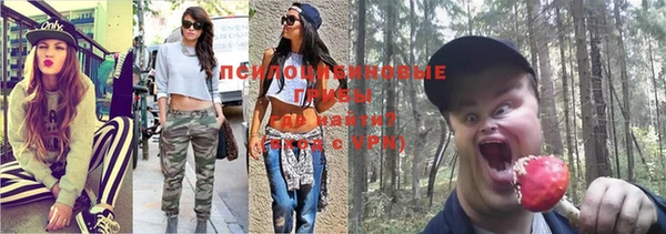 прущие грибы Богородск
