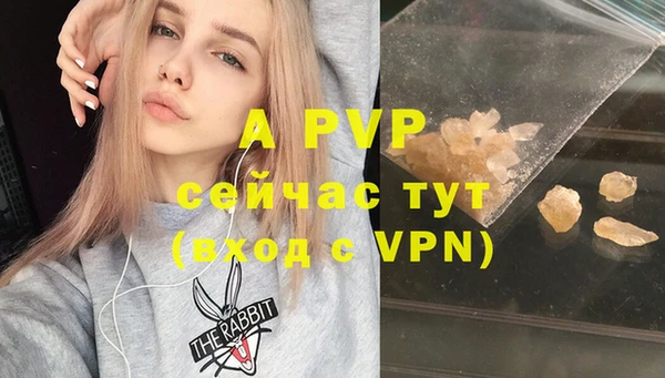 шишки Богородицк