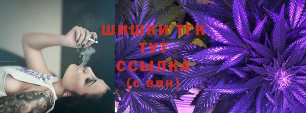 прущие грибы Богородск