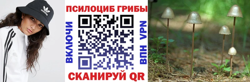 Галлюциногенные грибы ЛСД  Белокуриха 